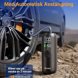 Electric air pump