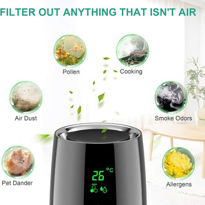 Air purifier with H13 HEPA filter