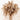 Pampas 60cm (20st)