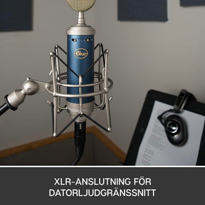 Blue Bluebird SL XLR condenser microphone
 (Model 2021)